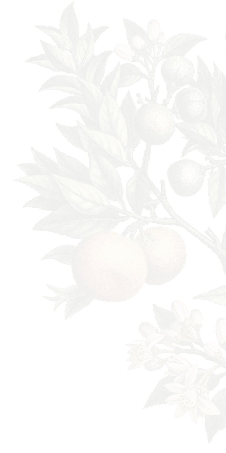 footer Mobile Second Image